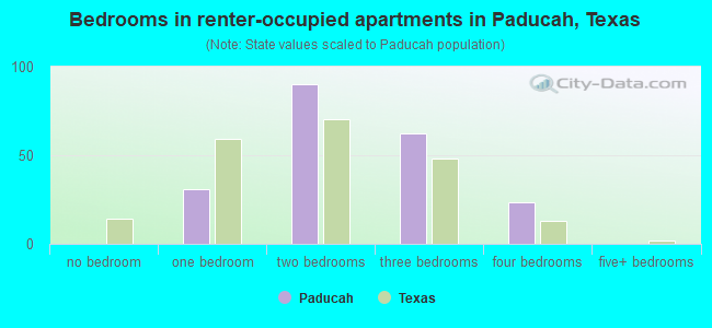 Bedrooms in renter-occupied apartments in Paducah, Texas