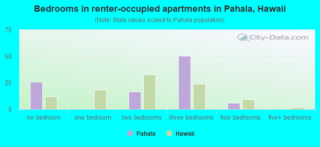 Bedrooms in renter-occupied apartments in Pahala, Hawaii