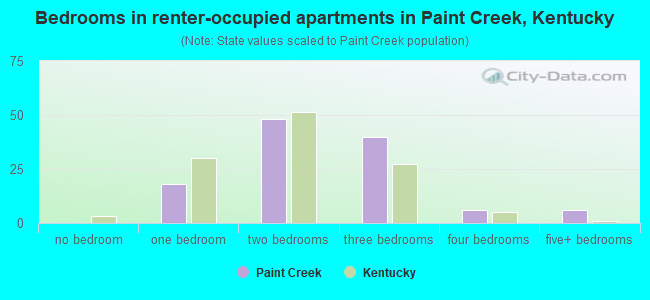 Bedrooms in renter-occupied apartments in Paint Creek, Kentucky