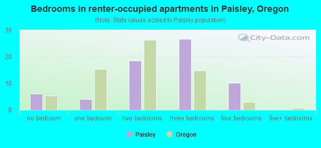 Bedrooms in renter-occupied apartments in Paisley, Oregon