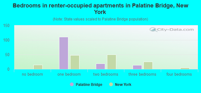Bedrooms in renter-occupied apartments in Palatine Bridge, New York