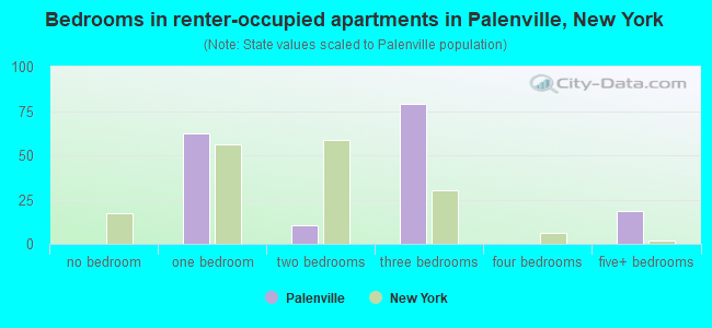 Bedrooms in renter-occupied apartments in Palenville, New York