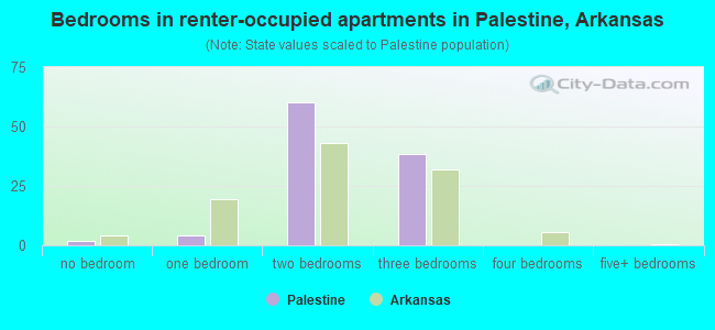 Bedrooms in renter-occupied apartments in Palestine, Arkansas