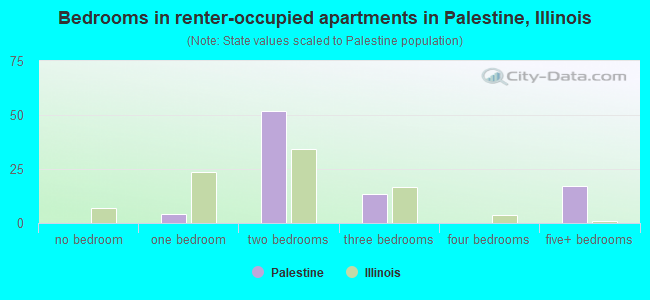 Bedrooms in renter-occupied apartments in Palestine, Illinois