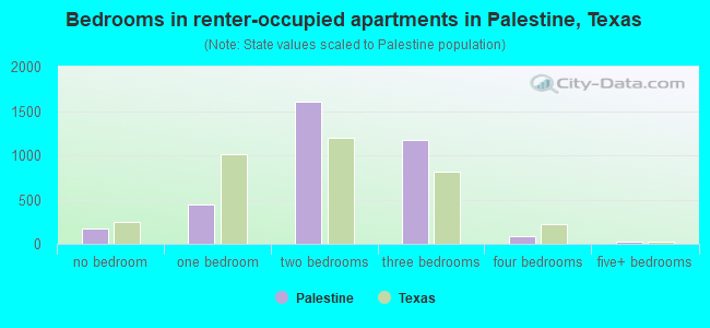 Bedrooms in renter-occupied apartments in Palestine, Texas