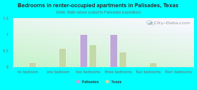 Bedrooms in renter-occupied apartments in Palisades, Texas