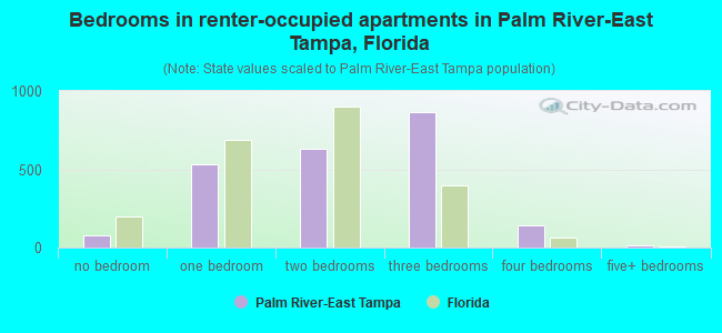 Bedrooms in renter-occupied apartments in Palm River-East Tampa, Florida