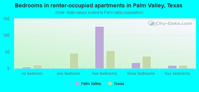 Bedrooms in renter-occupied apartments in Palm Valley, Texas