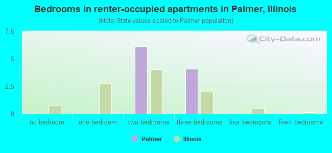 Bedrooms in renter-occupied apartments in Palmer, Illinois