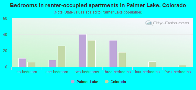 Bedrooms in renter-occupied apartments in Palmer Lake, Colorado