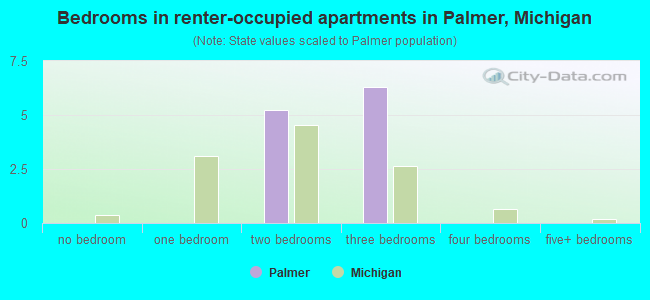 Bedrooms in renter-occupied apartments in Palmer, Michigan