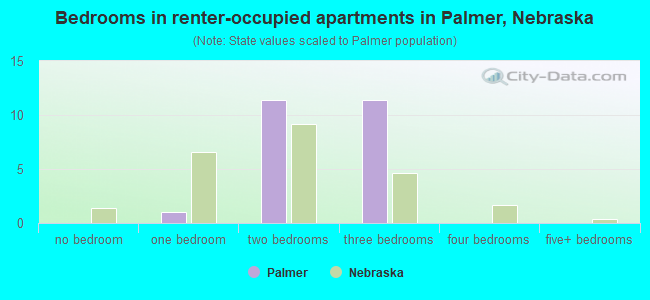 Bedrooms in renter-occupied apartments in Palmer, Nebraska