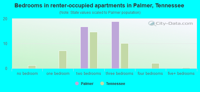 Bedrooms in renter-occupied apartments in Palmer, Tennessee