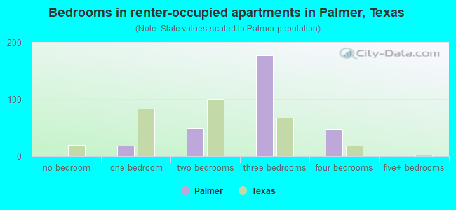 Bedrooms in renter-occupied apartments in Palmer, Texas