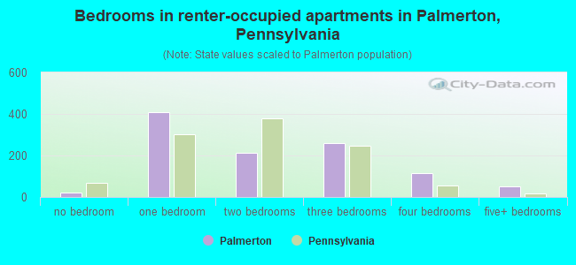 Bedrooms in renter-occupied apartments in Palmerton, Pennsylvania