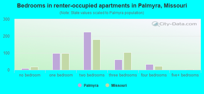 Bedrooms in renter-occupied apartments in Palmyra, Missouri