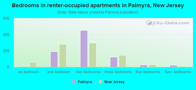 Bedrooms in renter-occupied apartments in Palmyra, New Jersey