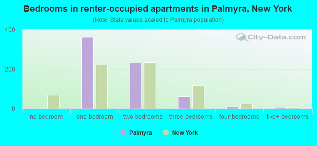 Bedrooms in renter-occupied apartments in Palmyra, New York