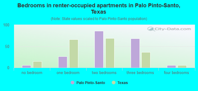 Bedrooms in renter-occupied apartments in Palo Pinto-Santo, Texas