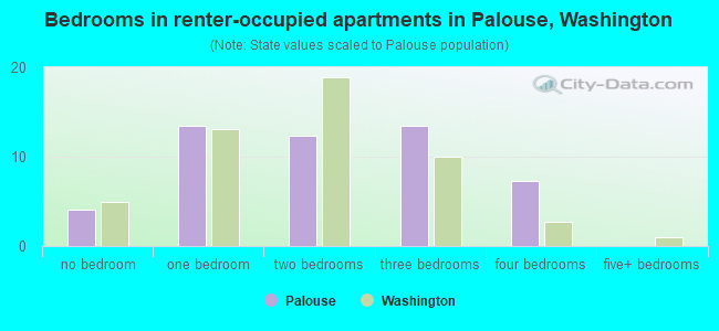 Bedrooms in renter-occupied apartments in Palouse, Washington