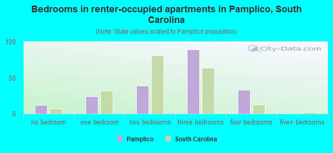 Bedrooms in renter-occupied apartments in Pamplico, South Carolina