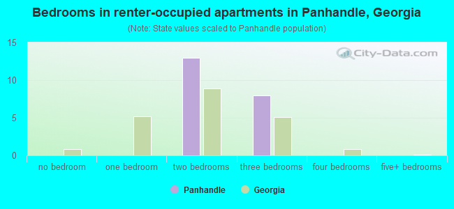 Bedrooms in renter-occupied apartments in Panhandle, Georgia