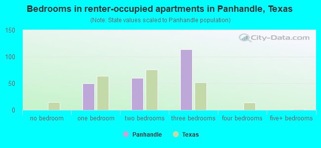 Bedrooms in renter-occupied apartments in Panhandle, Texas