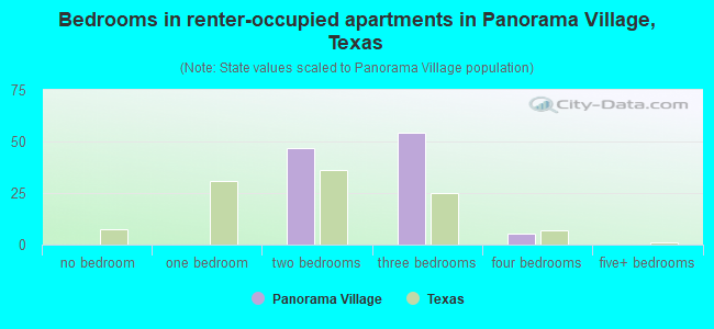 Bedrooms in renter-occupied apartments in Panorama Village, Texas
