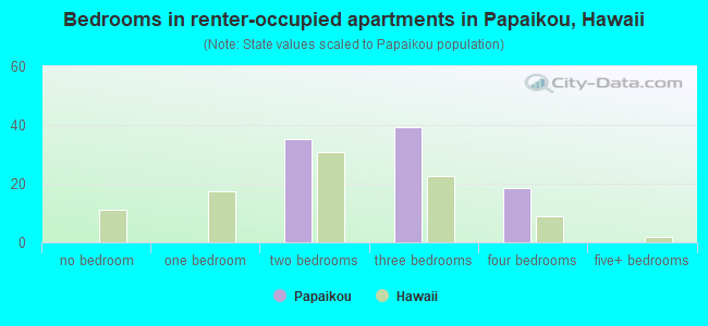 Bedrooms in renter-occupied apartments in Papaikou, Hawaii