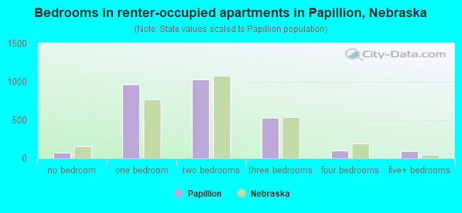 Bedrooms in renter-occupied apartments in Papillion, Nebraska