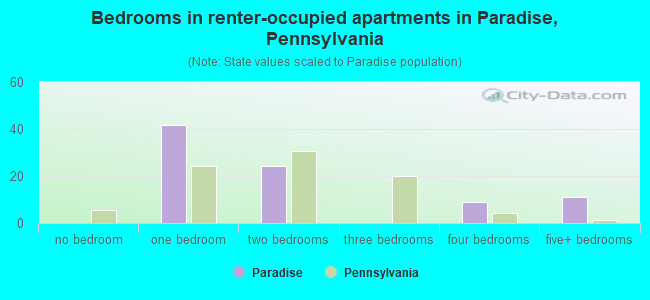 Bedrooms in renter-occupied apartments in Paradise, Pennsylvania