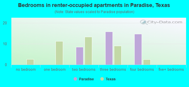 Bedrooms in renter-occupied apartments in Paradise, Texas