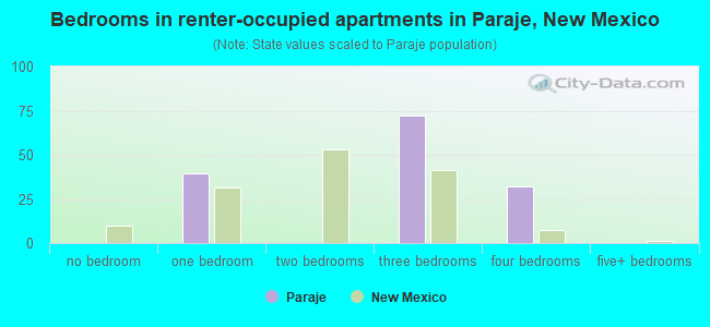 Bedrooms in renter-occupied apartments in Paraje, New Mexico