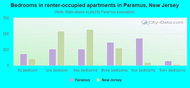 Bedrooms in renter-occupied apartments in Paramus, New Jersey