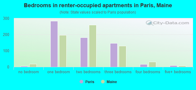 Bedrooms in renter-occupied apartments in Paris, Maine