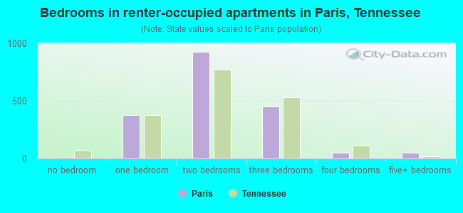 Bedrooms in renter-occupied apartments in Paris, Tennessee