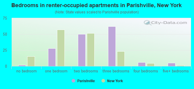 Bedrooms in renter-occupied apartments in Parishville, New York