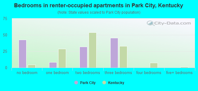 Bedrooms in renter-occupied apartments in Park City, Kentucky