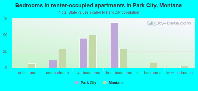 Bedrooms in renter-occupied apartments in Park City, Montana