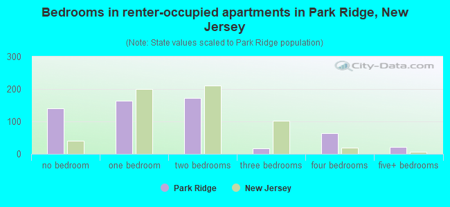 Bedrooms in renter-occupied apartments in Park Ridge, New Jersey