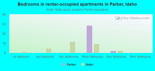 Bedrooms in renter-occupied apartments in Parker, Idaho