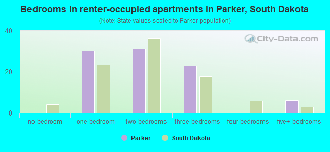 Bedrooms in renter-occupied apartments in Parker, South Dakota