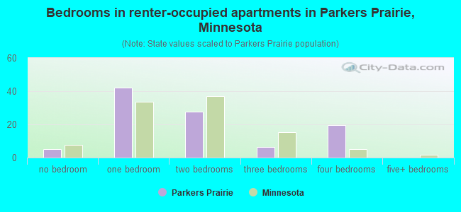 Bedrooms in renter-occupied apartments in Parkers Prairie, Minnesota