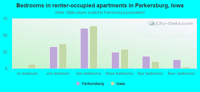 Bedrooms in renter-occupied apartments in Parkersburg, Iowa