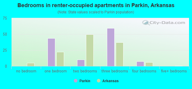 Bedrooms in renter-occupied apartments in Parkin, Arkansas
