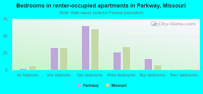 Bedrooms in renter-occupied apartments in Parkway, Missouri