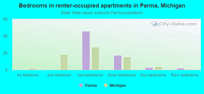 Bedrooms in renter-occupied apartments in Parma, Michigan