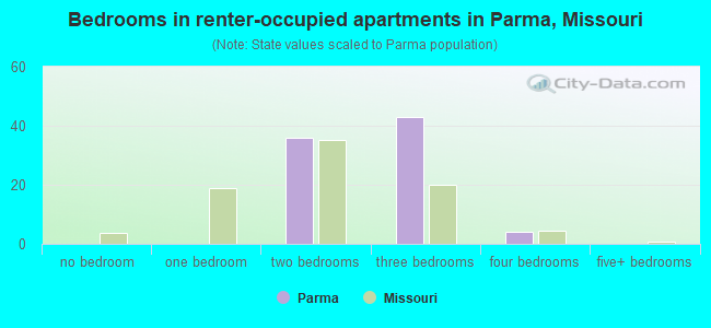 Bedrooms in renter-occupied apartments in Parma, Missouri