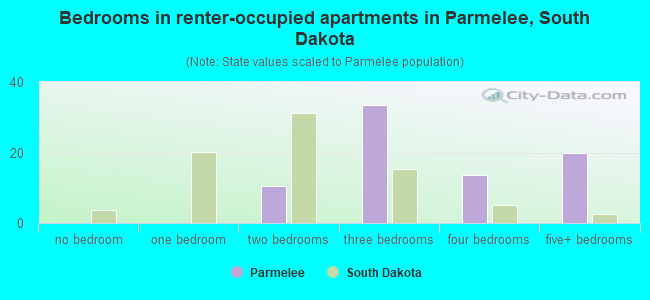 Bedrooms in renter-occupied apartments in Parmelee, South Dakota