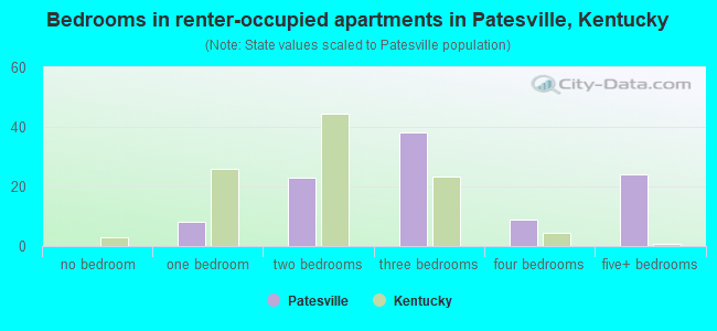 Bedrooms in renter-occupied apartments in Patesville, Kentucky